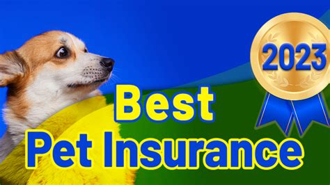 companion pet insurance log in.